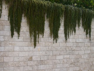 L1000762.jpg