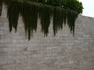L1000763.jpg