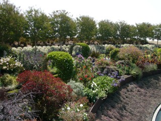 L1000776.jpg