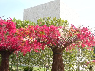 L1000800.jpg