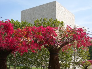 L1000801.jpg