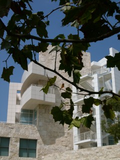 L1000802.jpg
