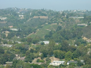 L1000825.jpg