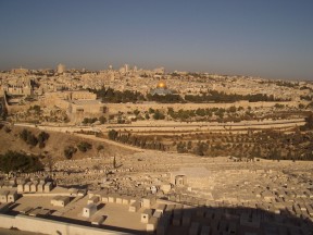 IMGP0297.jpg