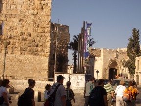 IMGP0310.jpg