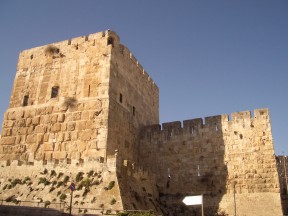 IMGP0312.jpg
