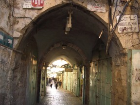 IMGP0315.jpg