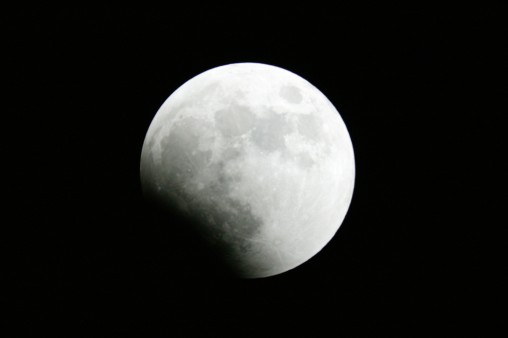 E7DU4220.jpg