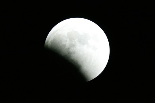 E7DU4225.jpg