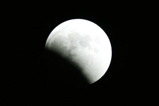 E7DU4226.jpg