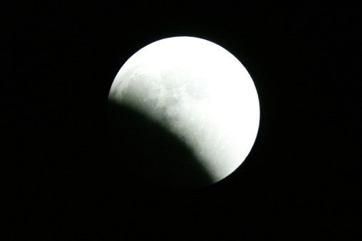 E7DU4228.jpg