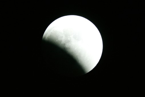 E7DU4229.jpg