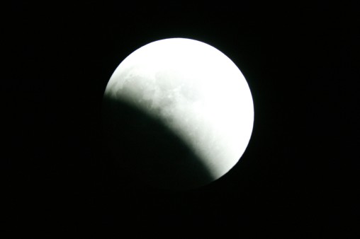 E7DU4230.jpg