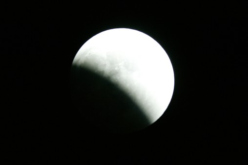 E7DU4232.jpg
