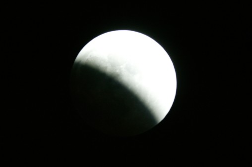 E7DU4233.jpg