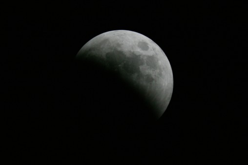 E7DU4234.jpg