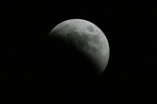 E7DU4235.jpg