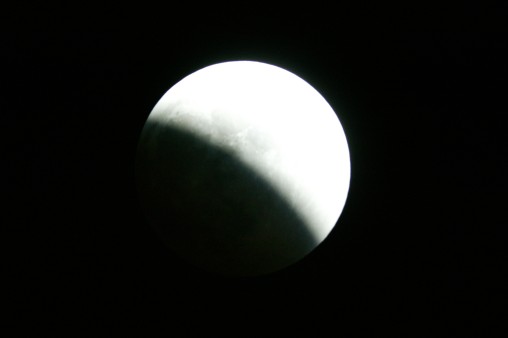 E7DU4236.jpg