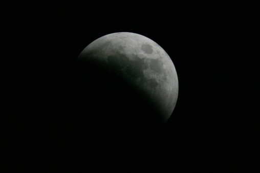 E7DU4237.jpg