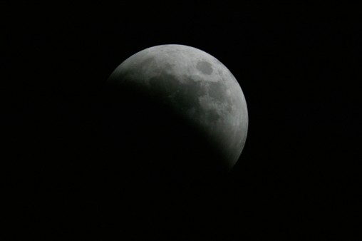 E7DU4239.jpg