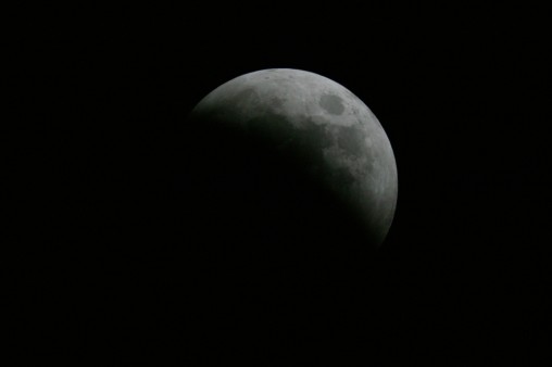 E7DU4241.jpg