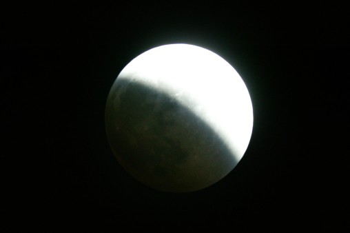 E7DU4242.jpg