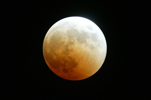 E7DU4265.jpg
