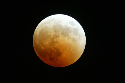 E7DU4280.jpg