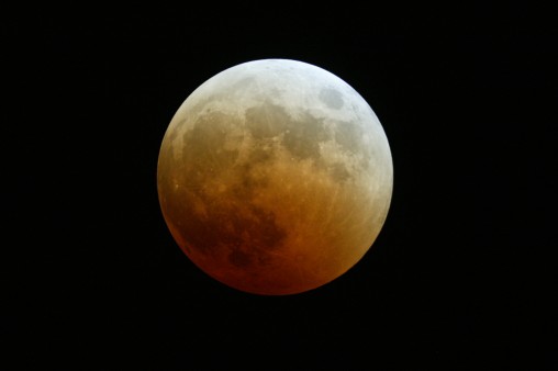 E7DU4283.jpg