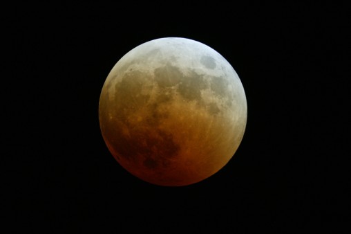 E7DU4284.jpg