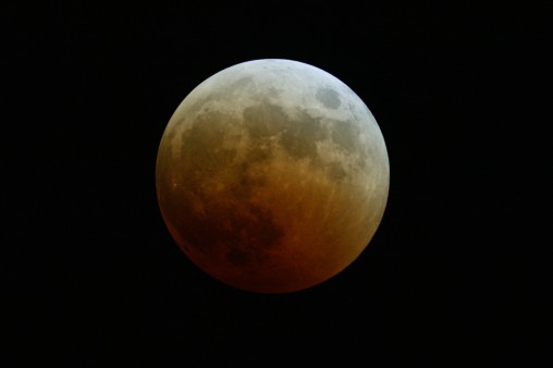 E7DU4286.jpg