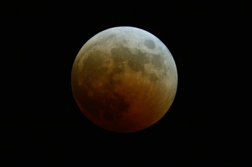 E7DU4287.jpg