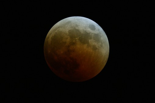 E7DU4288.jpg