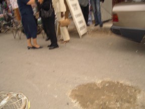 IMGP0484.jpg