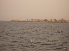 IMGP0490.jpg