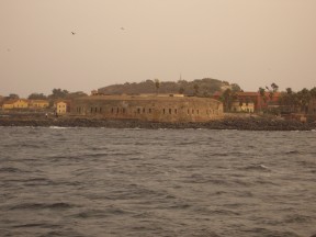 IMGP0501.jpg