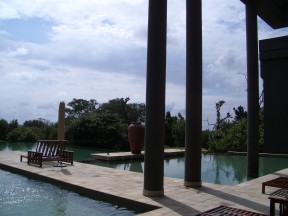 IMGP0516.jpg