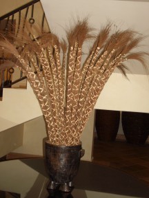 IMGP0527.jpg