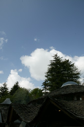 E7DU6559.jpg
