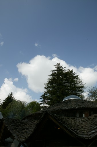 E7DU6560.jpg