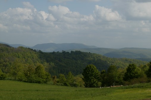 E7DU6567.jpg