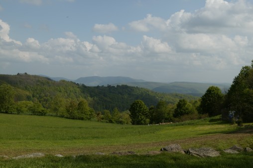 E7DU6568.jpg