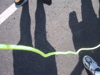 IMG_1219.jpg