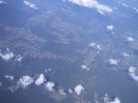 IMG_1238.jpg