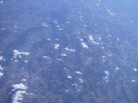 IMG_1264.jpg