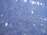 IMG_1266.jpg