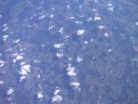 IMG_1276.jpg
