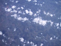 IMG_1286.jpg