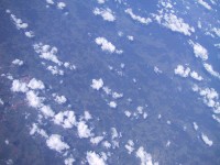 IMG_1290.jpg