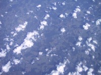 IMG_1291.jpg